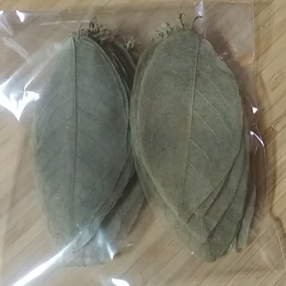Package of 50 Skeleton Leaves for Crafting